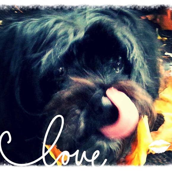 Meet your Posher, Marilyn - Picture 1 of 1